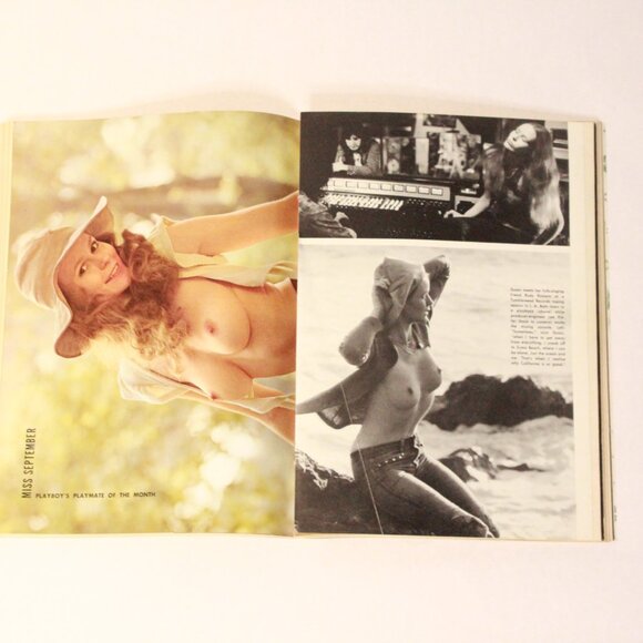 Vintage Art Playboy Memorabilia Home Decor Supermodel 70's - Picture 4 of 5